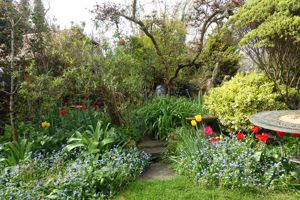 Photo 16- click for photo gallery